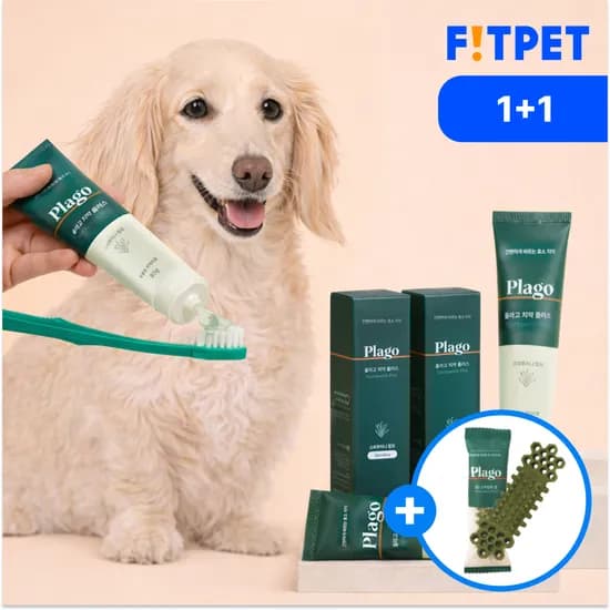플라고 치약 강아지 고양이 입냄새 치석 제거 바르는 치약 80g, 2개