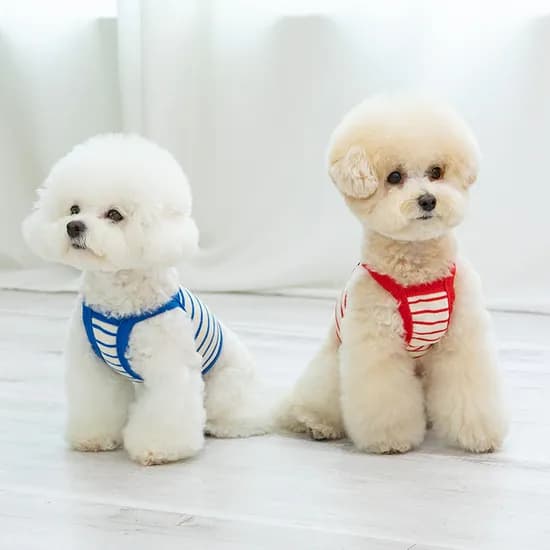 강아지여름옷 강아지나시 펫츠랜드 꾸안꾸크롭나시티