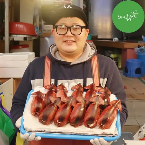 속초 오징어순대 외 4종