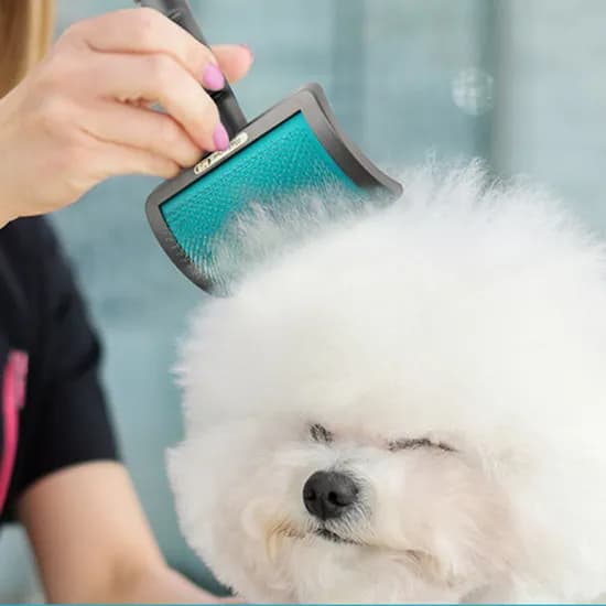 바비온 강아지 고양이 털제거 커브 슬리커 브러쉬  비숑 빗