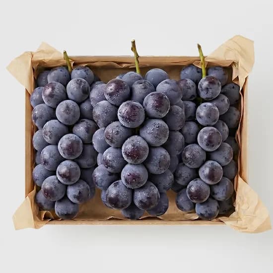 김천 거봉 수출용 특등품 고당도 거봉 포도 1.5kg 2kg 4kg