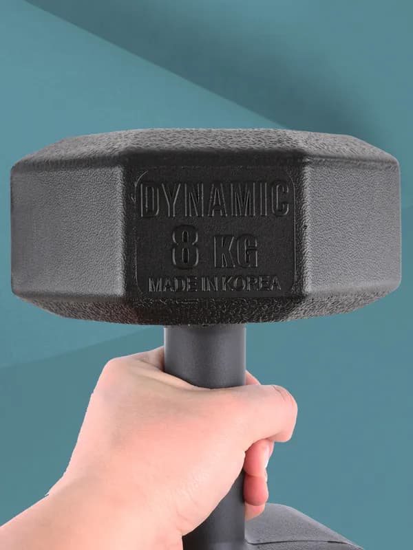 아리프 국산 다이나믹 옥타곤 아령 덤벨 8kg, 2개