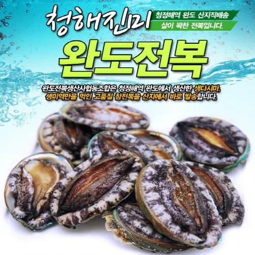 완도12호 왕특대 1kg(6-7미)선물포장