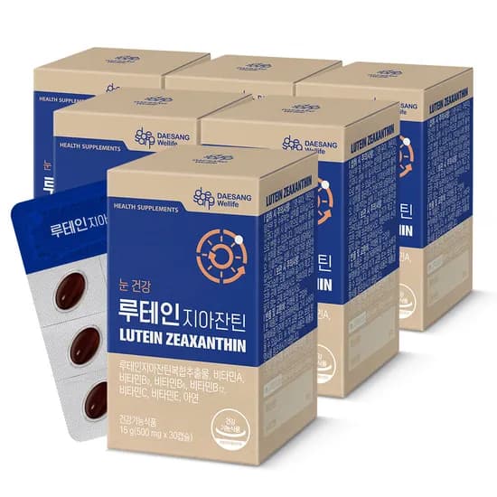 웰라이프 루테인 지아잔틴 (500mg) 눈영양보충용제품 30캡슐, 6개