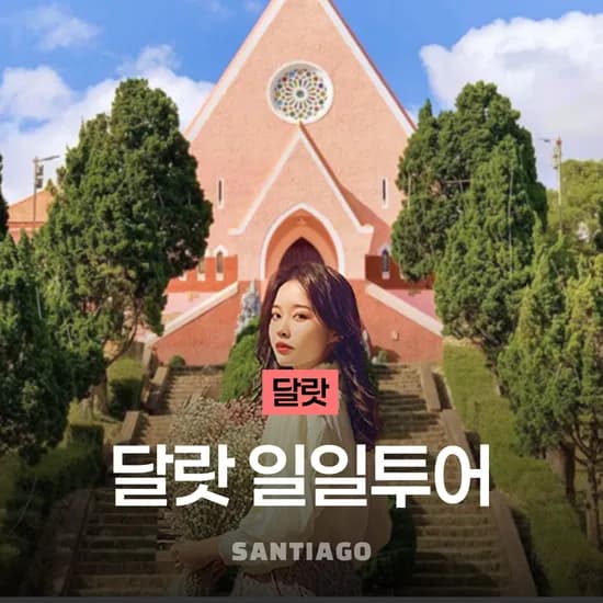 나트랑 달랏투어 일일투어/한국인 단독여행 스냅사진