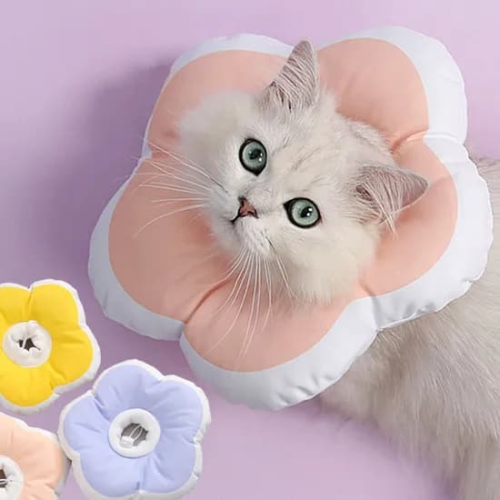리치독스 강아지 넥카라 고양이 애견 깔대기