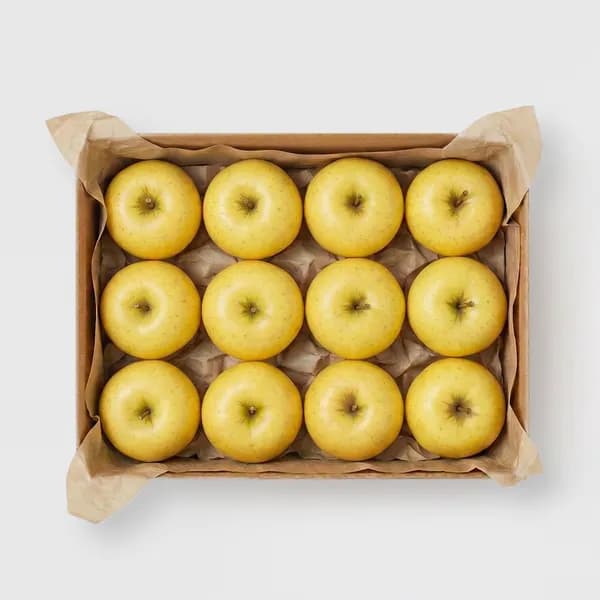 시나노골드 황금사과 산지직송 2kg 3kg 4kg 5kg