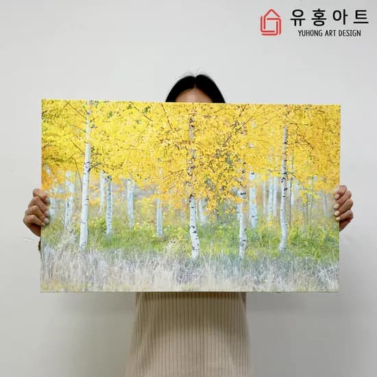 황금 자작나무 그림 와이드 캔버스 액자 6호