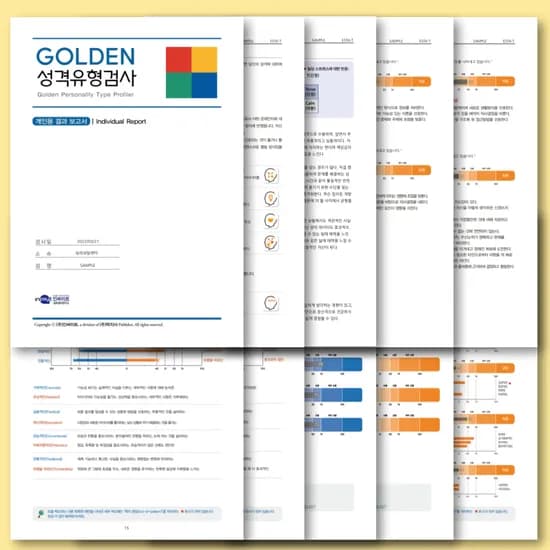 GOLDEN 골든성격유형검사 (MBTI 고급형 + BIG5 스트레스)