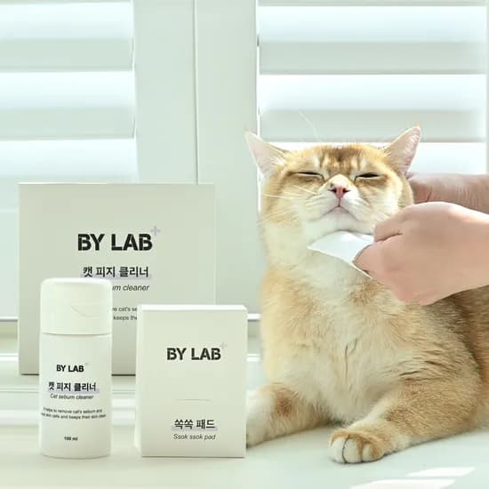 바이랩 캣피지클리너 고양이 턱드름 제거 블랙헤드 세정제 100ml, 1개