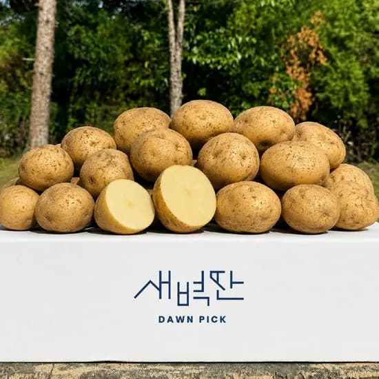 26년 햇 두백감자 자색 홍 감자 수미