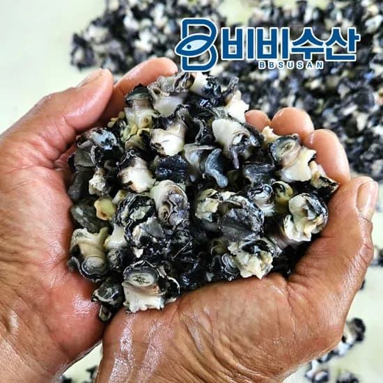 국내산 왕우렁 황토 우렁이살 700g 우렁살 논고동