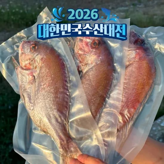 자연산 반건조 참돔 구이 생선 제수용 선물용