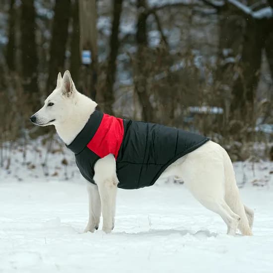 대형견패딩 강아지 패딩 조끼 경량 겨울옷 진돗개 5XL