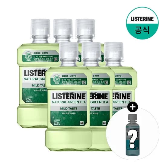 그린티 마일드 250mlx6+(증정)100ml 랜덤(마일드)