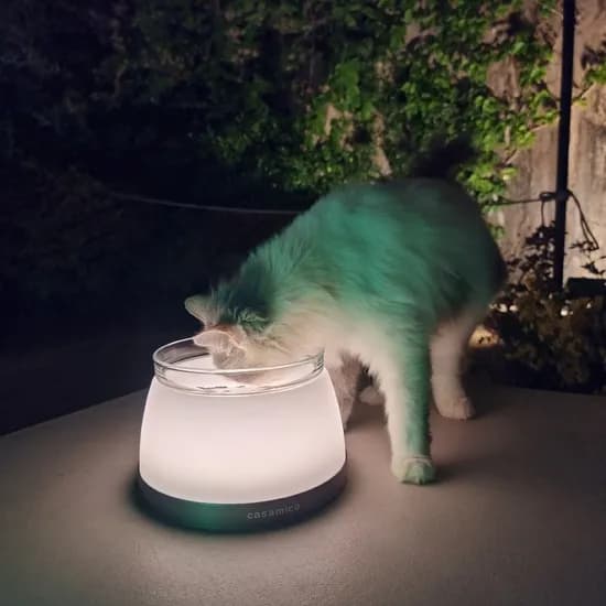 까사미코 블링블링 LED 무선 고양이 강아지 물그릇 밥그릇 까사미코 블링블링 LED 무선 고양이 강아지 물그릇 밥그릇