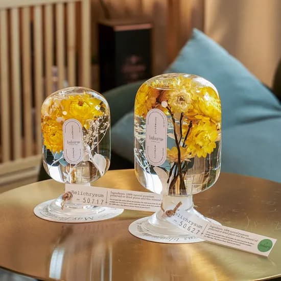 시그니처 플랜트 오브제 Helichrysum 헬리크리섬 미니 해바라기