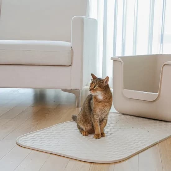 묘래매트 고양이 화장실 사막화 방지 모래매트