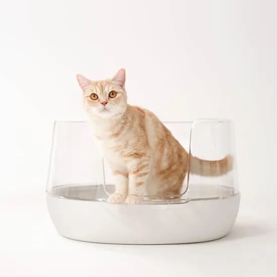 배변 스트레스를 최소화한 냥쌤 투명화장실 고양이 평판형 화장실