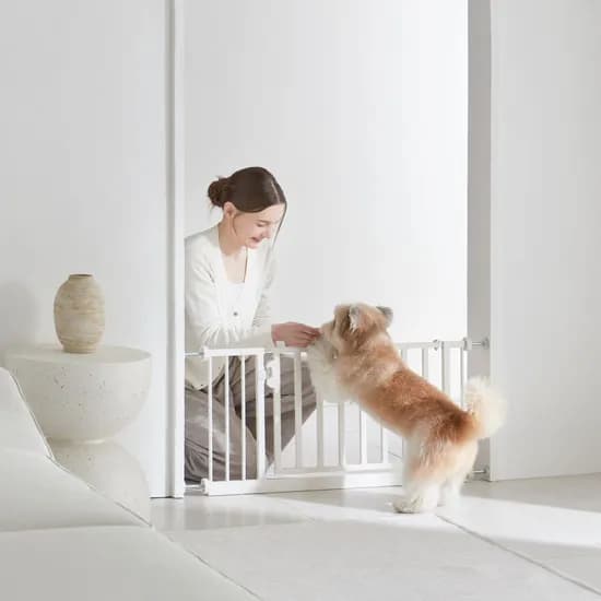 높이 42cm 소형견 전용 안전문