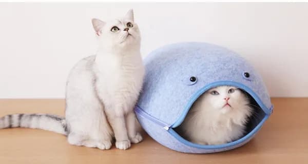 빅피쉬 고양이 펫하우스 고양이하우스 강아지하우스 (S급)