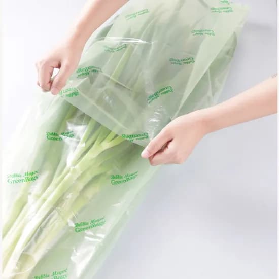 그린백 밀폐용기 과일 야채 신선보관 비닐백 XXL사이즈 13L 5p