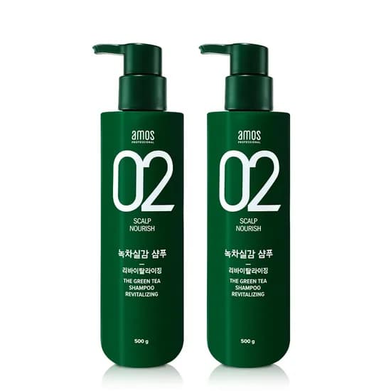 녹차실감 샴푸 리바이탈라이징 500g(지성) 2개