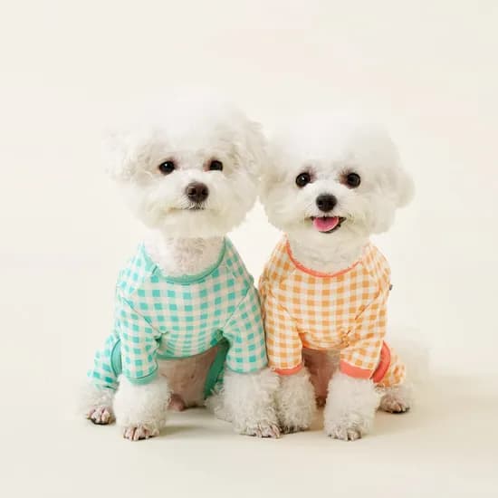 체크 밴딩 올인원 5size 3colors