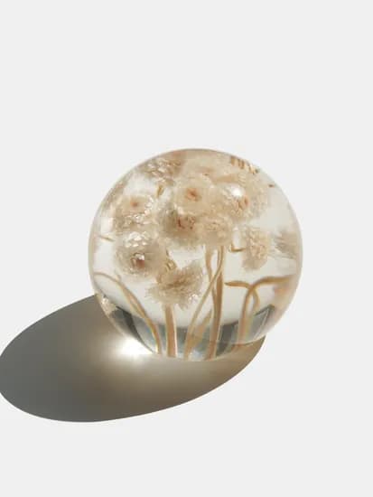 Immortal ball 이모르뗄 볼 문진