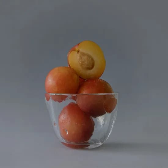 블러리 라운드 글라스 티 컵 보울 M