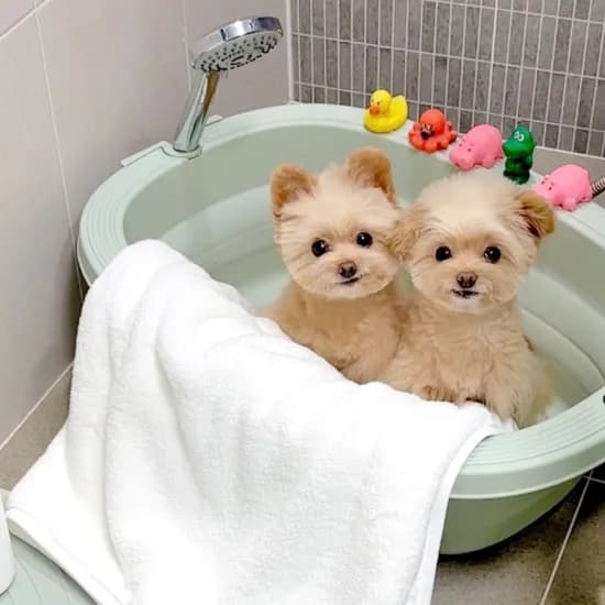 미끄러짐방지 안전한 접이식 욕조 강아지 고양이 논슬립 폴더블욕조