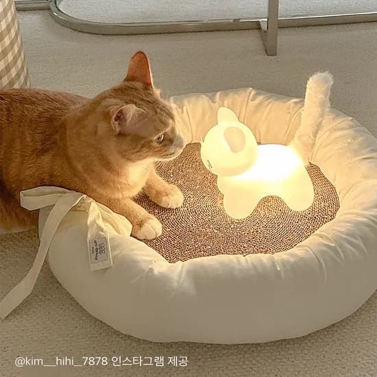 젤리냥이 치즈냥이 무드등 고양이 무선 조명