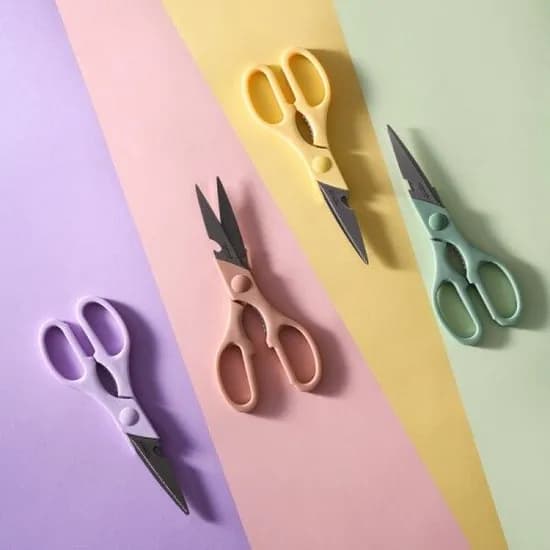 1+1 컬러풀 주방가위 22cm (4컬러)