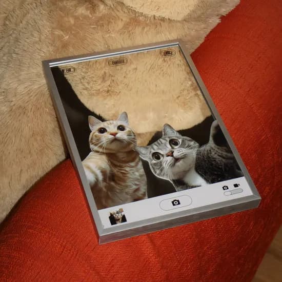 selfie cat poster mirrorㅣ포스터 거울