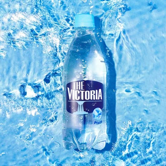 더 빅토리아 탄산수/탄산음료 500mL 20개