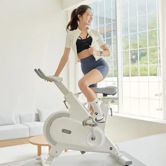 ERG 바이크 실내 자전거 스피닝 헬스 사이클 폴민 (직접설치)