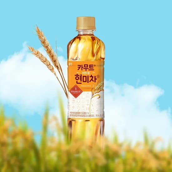 카무트 브랜드밀 현미차 500mL 10개