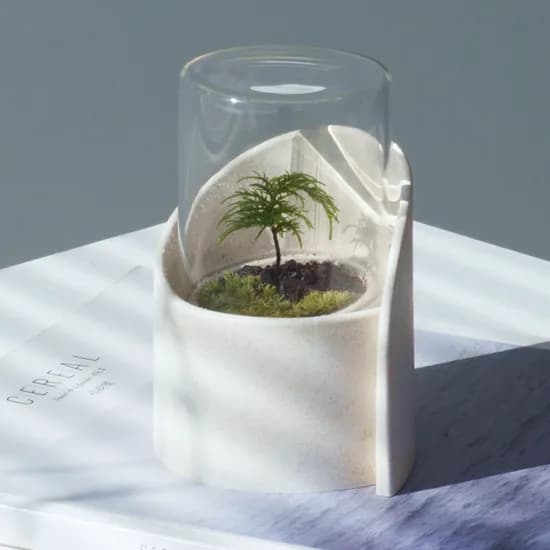 나무이끼 테라리움 가드닝키트 반려식물 DIY 세트 홈가드닝 선물