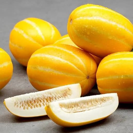 고당도 꿀 참외 성주참외 1kg / 2kg / 5kg / 10kg 선택