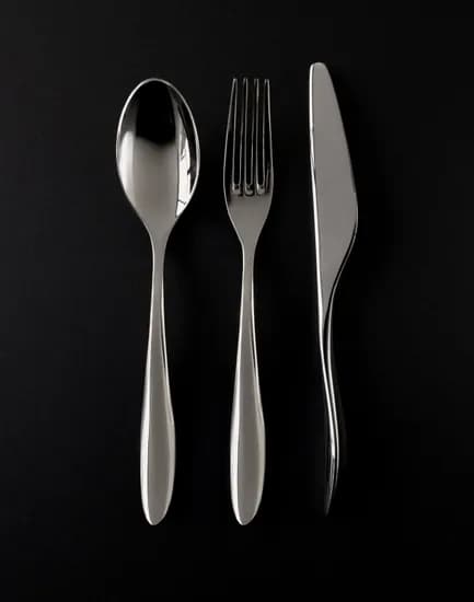 슬린 디너 커트러리