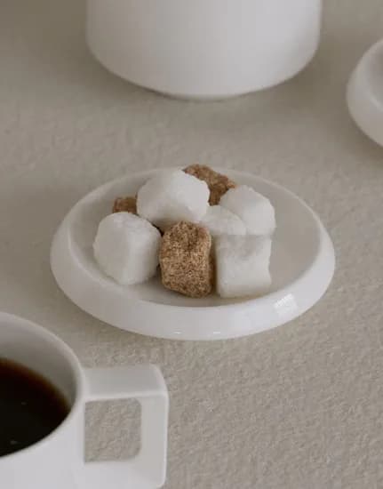 X NIKKO DISK PLATE 100 (MUG LID) 니코 머그 리드 겸 접시