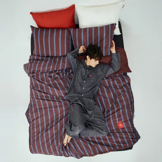 Furless aerogel Duvet 퍼리스 에어로겔 이불 (4color SS/QK)