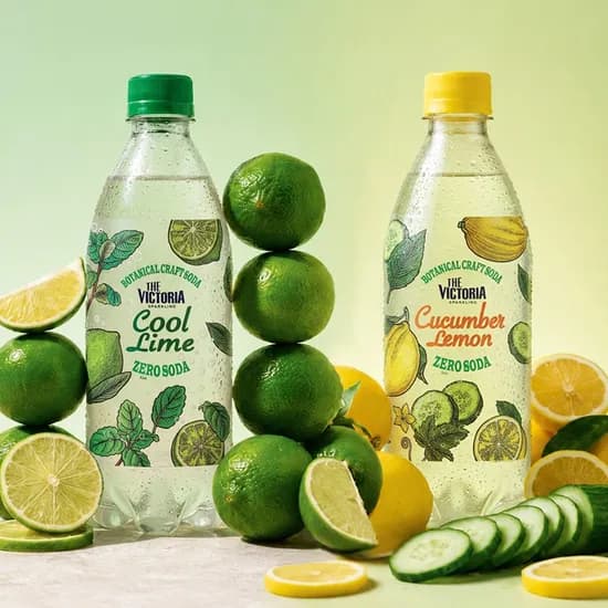 NEW[10+10]더 빅토리아 쿨라임/오이레몬 제로 탄산음료 500mL 20개 골라담기