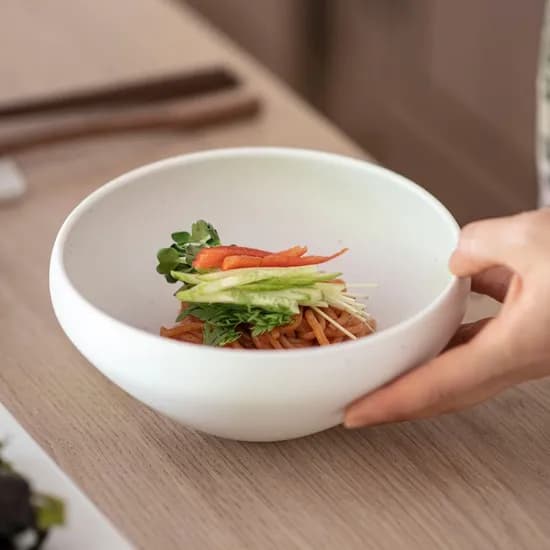 순수무광 오목면기