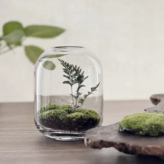 어반 볼륨 테라리움 키트 비단이끼 테라리움 만들기 DIY 선물