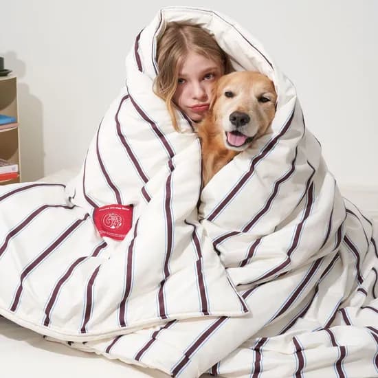 Furless aerogel Duvet 퍼리스 에어로겔 이불 - 아이보리(SS/QK)