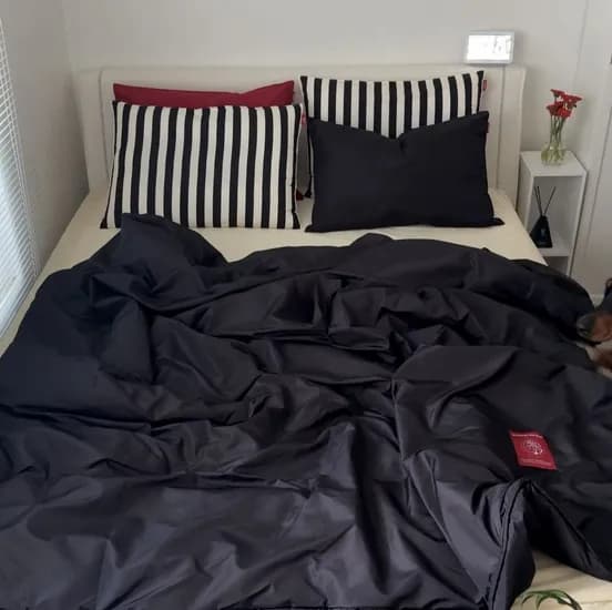 Furless aerogel Duvet 퍼리스 에어로겔 이불 - 블랙(SS/QK)