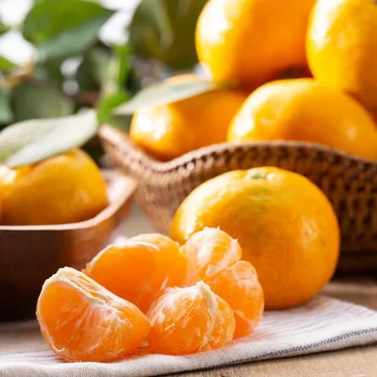 산지직송 제주 하우스 감귤 1kg (로얄과) M-S