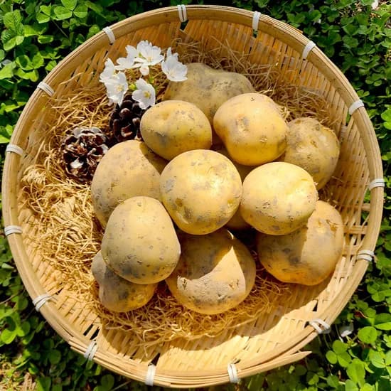 산지직송 국내산 설봉감자 5kg 대 (개당 60-120g) 찜용