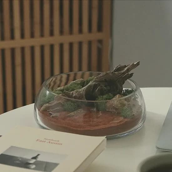 나미브 테라리움 DIY 키트 스칸디나비아모스 키우기